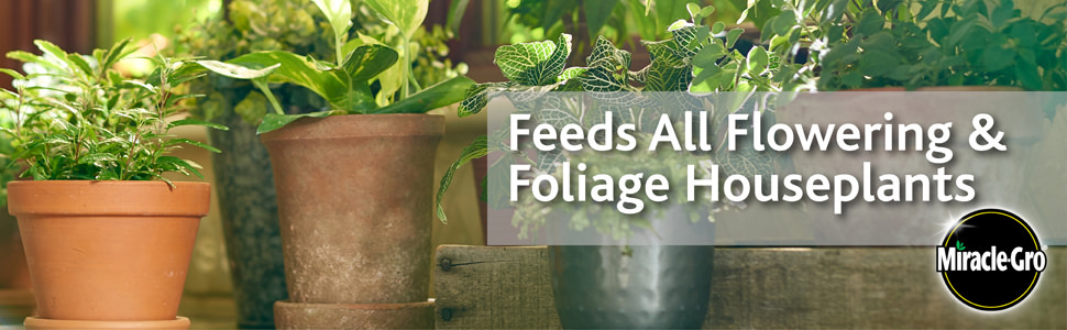 Feeds All Flowering & Foliage Houseplants