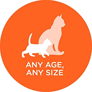 Any Age, Any Size, Kitten, Adult Cat, Senior Cat, Kitty, Young Cat, Old Cat, Mature Cat, Aging Cat 