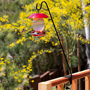 metal bird feeder;hopper feeder;sunflower bird feeder;seed feeder bird;sunflower seed bird feeder