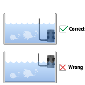 Correct&Wrong appliacation