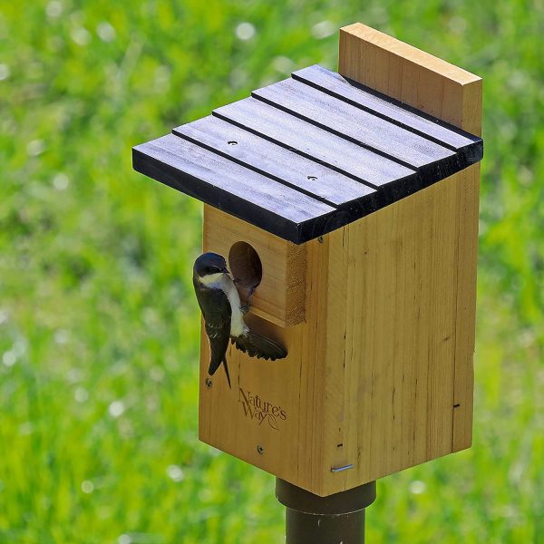 Nature's Way Bird Products CWH4 Cedar Bluebird Viewing House - Image 5