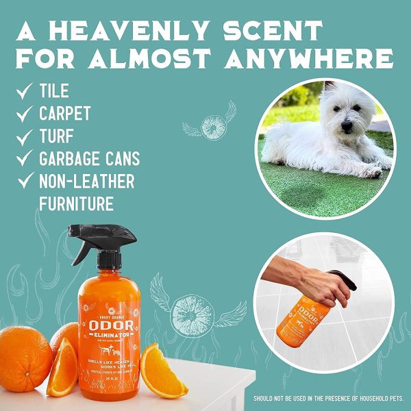 Angry Orange Pet Odor Eliminator - Ready to Use, Citrus Carpet Deodorizer for Cats and Dogs - Deodorizing Spray for Carpets, Furniture, and Floors ?C Puppy Supplies