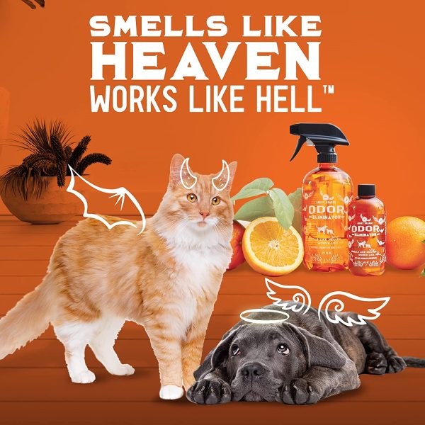 Angry Orange Pet Odor Eliminator - Ready to Use, Citrus Carpet Deodorizer for Cats and Dogs - Deodorizing Spray for Carpets, Furniture, and Floors ?C Puppy Supplies - Image 4