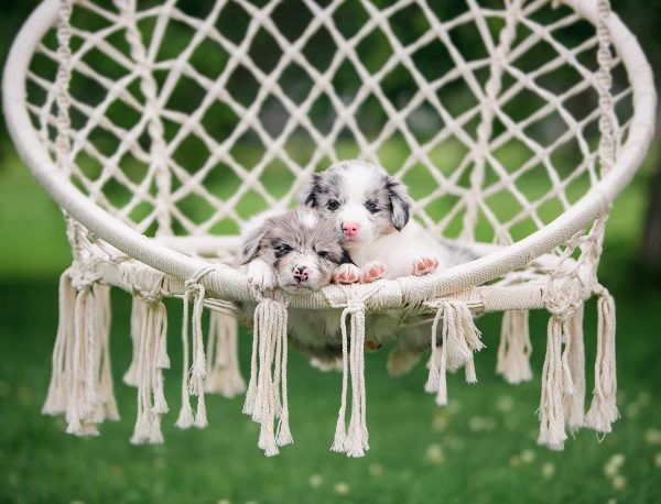 Ohuhu Hammock Chair Macrame Hanging Chair Swing with Hanging Hardware Kit, Cotton Rope Macrame Hammock Swing Chair, 265 Pound Capacity (Cushion is not Included) Gift Idea for Birthday - Image 4