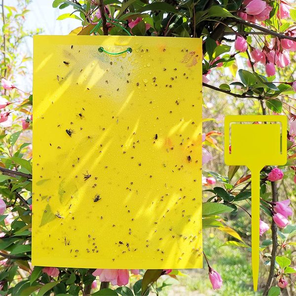 Yellow Sticky Traps, 8x6 Inch, Dual-Sided, 20 Sheets with Twist Ties and Plastic Holders, for Capture Insects Like Flies, Gnats - Image 2