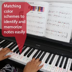 Matching Color schemes to identity and memorize notes easily