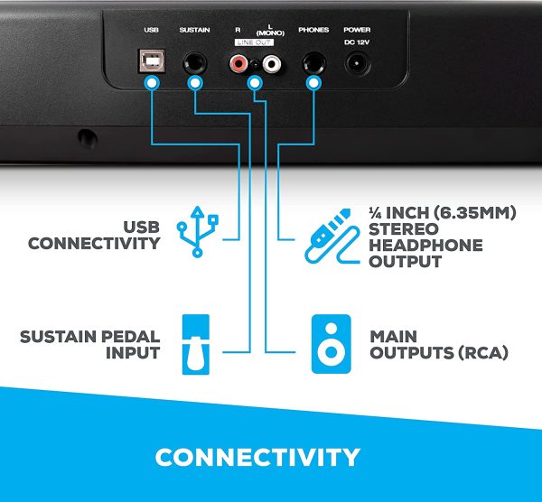 Alesis Recital ?C 88 Key Digital Electric Piano / Keyboard with Semi Weighted Keys, Power Supply, Built-In Speakers and 5 Premium Voices - Image 2