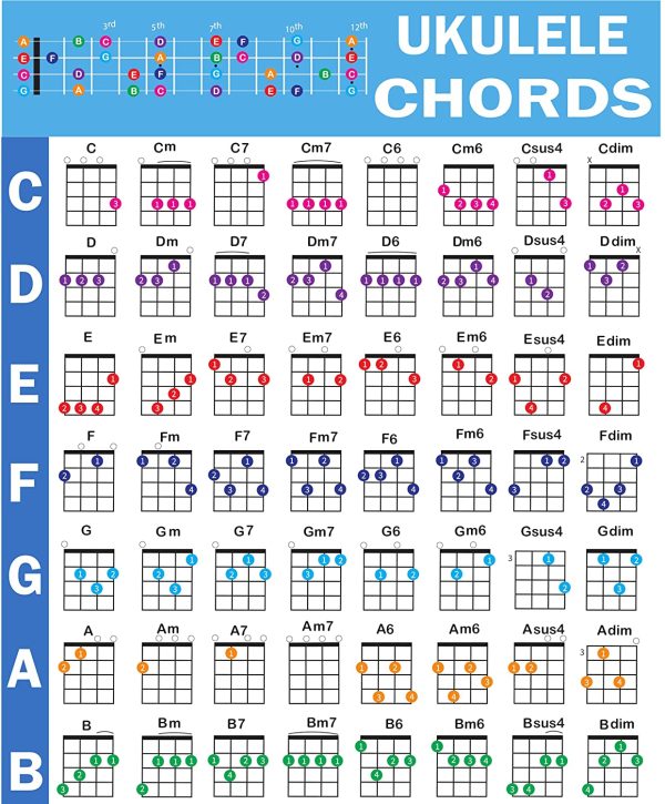 Ukulele Chords Poster, An Educational Reference guide for Ukulele Players and Teachers, Printed on Waterproof, Non-Tearing, Polypropylene Paper, Size: 24??x 30??