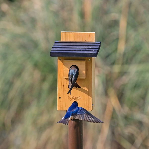 Nature's Way Bird Products CWH4 Cedar Bluebird Viewing House - Image 2