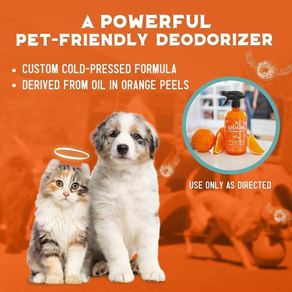 Angry Orange Pet Odor Eliminator - Ready to Use, Citrus Carpet Deodorizer for Cats and Dogs - Deodorizing Spray for Carpets, Furniture, and Floors ?C Puppy Supplies - Image 5