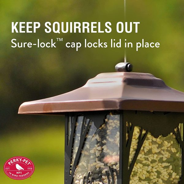 Perky-Pet 8504-2 Wilderness Lantern Wild Bird Feeder - Image 5