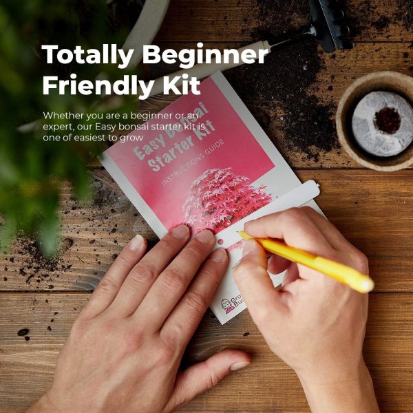 Grow Your own Bonsai kit ??Easily Grow 4 Types of Bonsai Trees with Our Complete Beginner Friendly Bonsai Seeds Starter kit ??Unique Seed kit Gift idea - Image 7