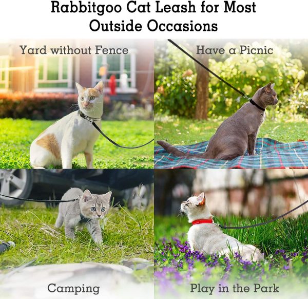 rabbitgoo Small Pet Leash, Cat Walking Long Nylon Dog Leashes, Easy Control Lightweight Durable Kitten Puppy Leash with 360 Degree Swivel Clip, Training Leashes for Small Medium Cat, 59 inches, 2 Pack