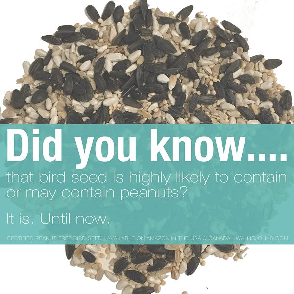 Certified Peanut Free Wild Bird Seed - Something for Everyone Blend (6 lb) - Image 6