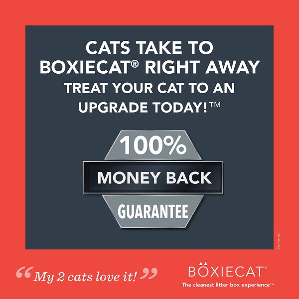 Boxiecat Extra Strength Premium Clumping Cat Litter - Clay Formula - Scent Free Multicat - Ultra Clean Litter Box, Probiotic Powered Odor Control, Hard Clumping Litter, 99.9% Dust Free - Image 5