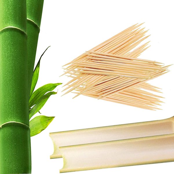 Premium Bamboo Wooden Cocktail Toothpicks - 1000 Pieces (2 Boxes of 500 Pieces) - Personal Hygiene, Disposable Appetizer Skewers, Cocktail Sticks or Arts & Crafts by - Image 4