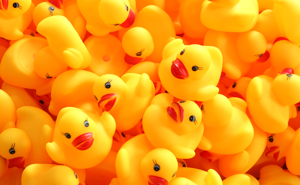 rubber duck