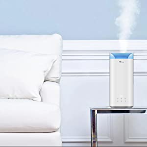 Humidifier