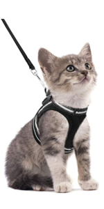 cat harness