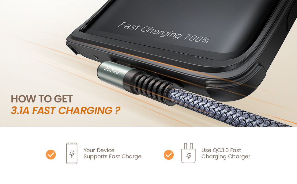 3.1A fast charging