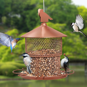 Cardinals bird feeder sunflower seed bird feeder