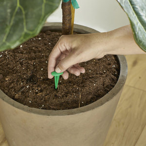 Use for Indoor Houseplants