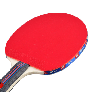 ping pong paddle