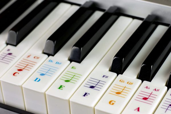 Color Piano Stickers for 88/76/61/54/49/37 Key Keyboards ??Transparent and Removable: Made in USA - Image 5