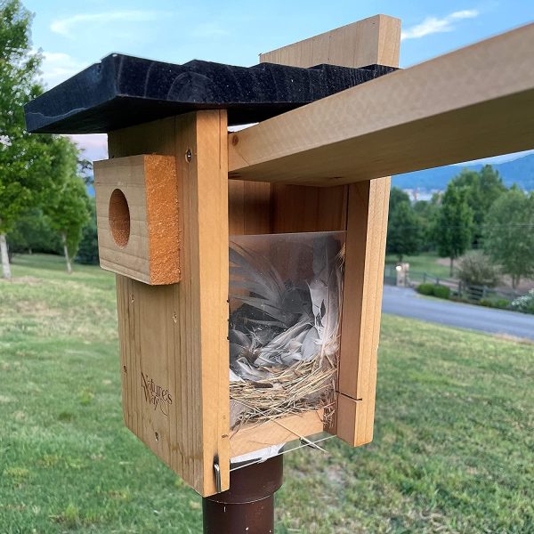 Nature's Way Bird Products CWH4 Cedar Bluebird Viewing House - Image 7