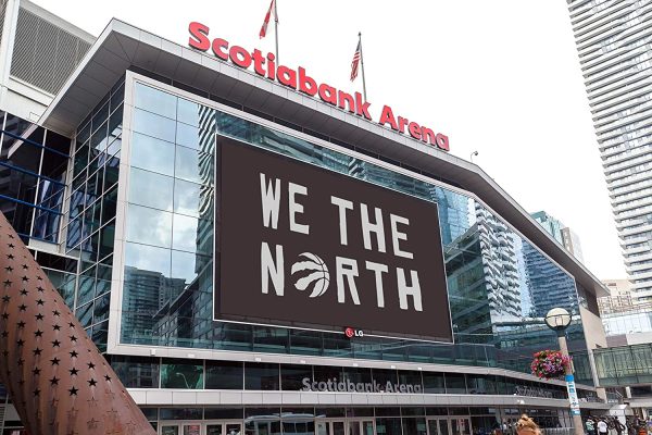 Toronto Raptors Flag with Bonus Necklace Bundle 2019 NBA World Champions Banner (3ft by 5ft) by Legendary Sports? - Image 3