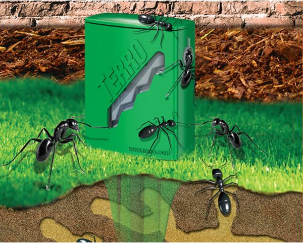 TERRO T1812CAN Outdoor Liquid Ant Bait Stakes - Image 3