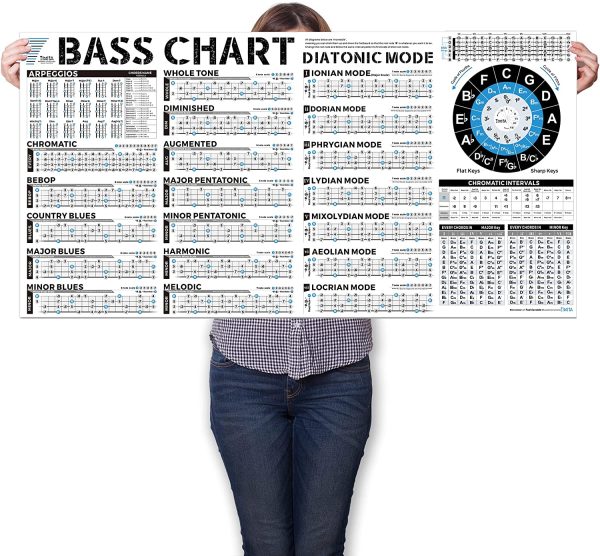 Bass Scales Notes Chart Poster of Pentatonic Scales | Blues Scales | Harmonic Minor Scales | Melodic Minor Scales and Diatonic Mode Scales, 24'' x 47'' Bass Notes Wall Chart for Beginners Adult or Kid - Image 4