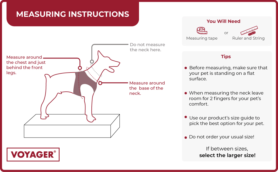 Measuring Instructions