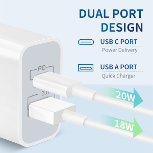 dual port fast wall charger