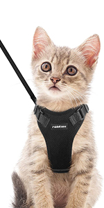 Warm cat harness