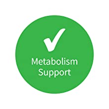 metabolism support
