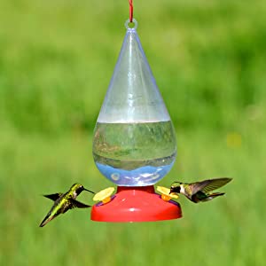 Garden Song 32 oz Dew Drop Plastic Hummingbird Feeder