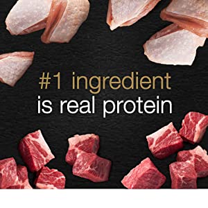 #1 Ingredient is Real Protein, Protein Rich, High Protein Dog Food, Animal Protein, Meat