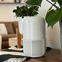 air purifiers