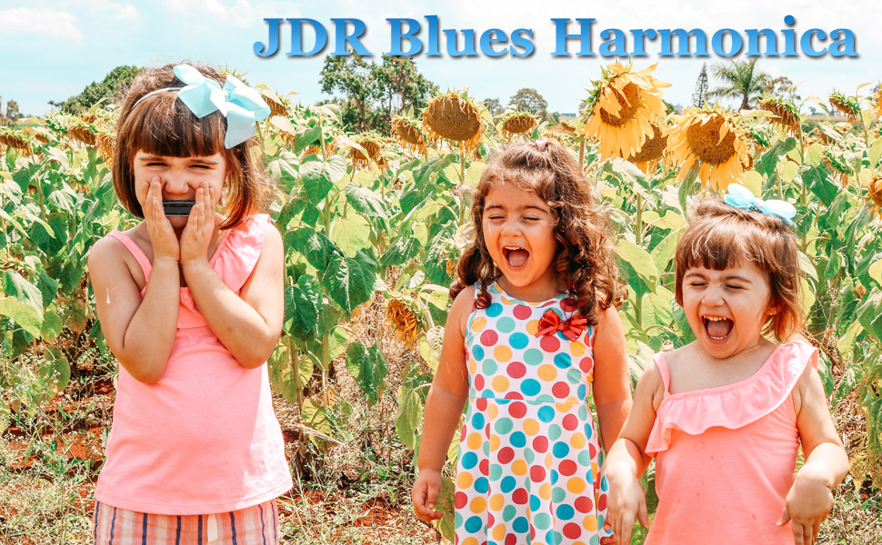 jdr blues harmonica