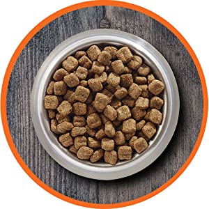 Complete, Balanced, Nutritional, Mealtime, Dry Food for Cats, Proactive Health, Kibble 
