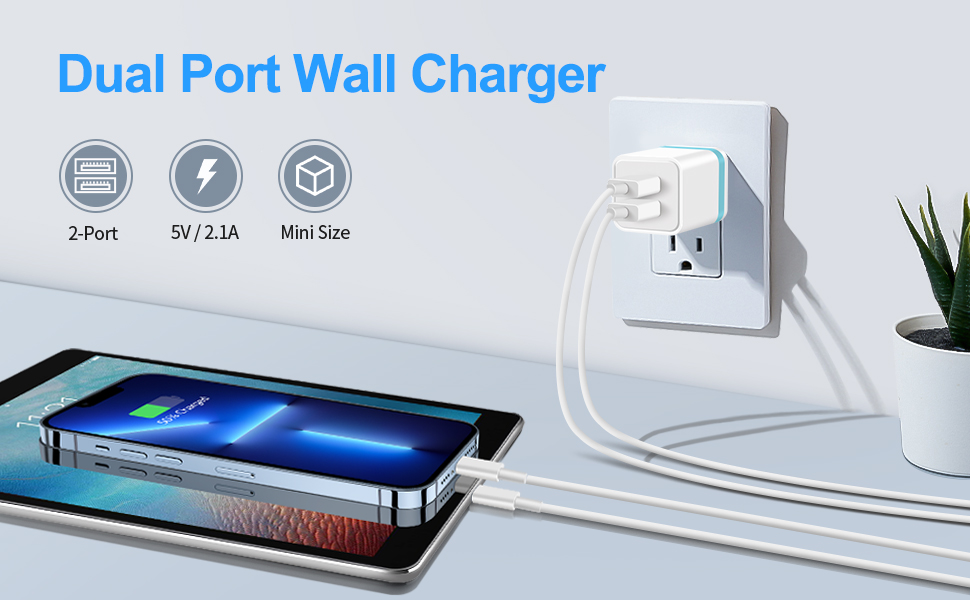 dual port wall charger