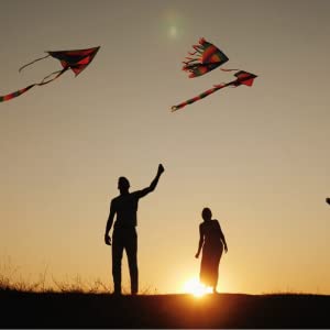 BEACH KITE