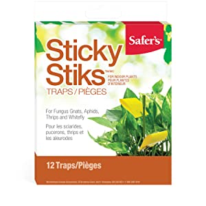 safers, sticky stiks, insect trap, plants, bugs, insects