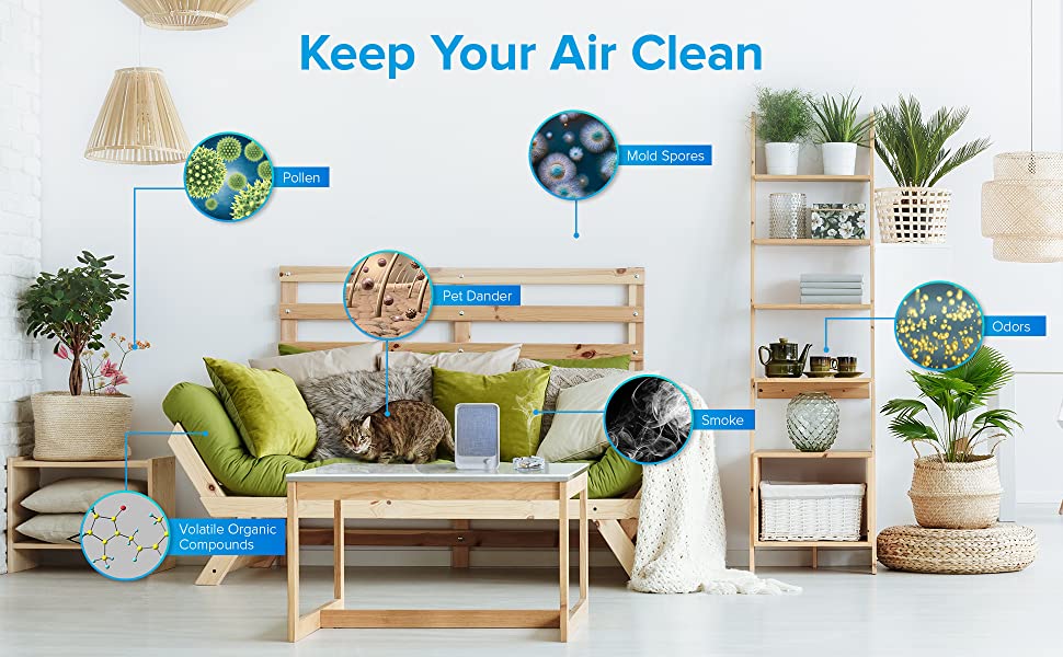 air purifier