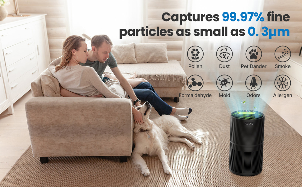 air purifier for large room