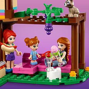 41679 LEGO Friends