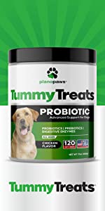 probiotics for dogs dog probiotics digestive enzymes for dogs dog probiotic treats probiotic chews