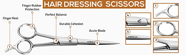 Dressing scissors