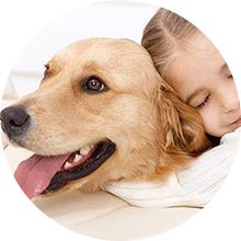 AIR PURIFIERS FOR PET DANDER